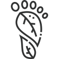 Carbon Foot Print Reduced