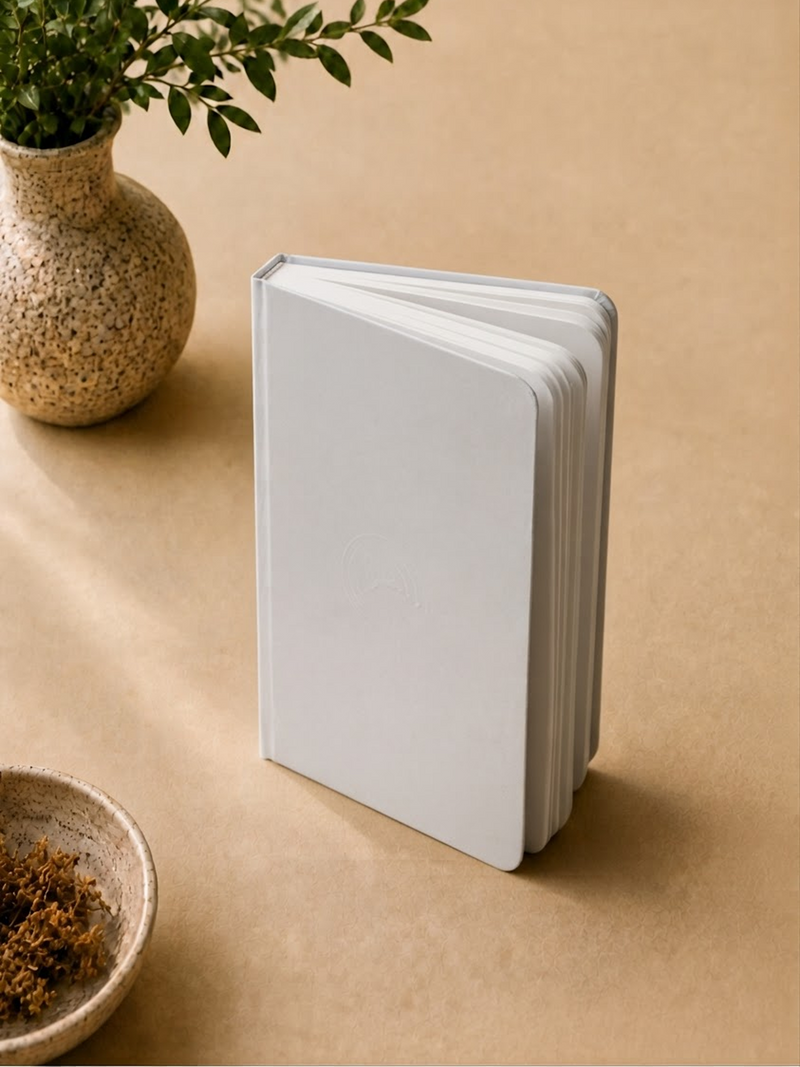 StarDream Silver Notebook